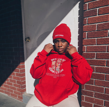 Restored Unisex Hoodie